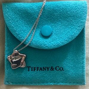 Tiffany & Co Elsa Peretti Star Necklace